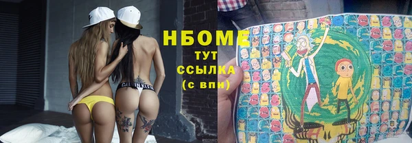 метадон Снежногорск