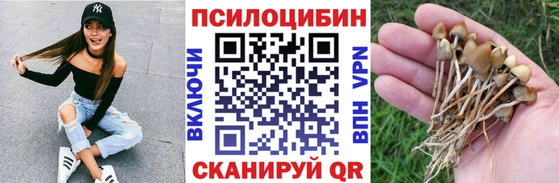 где купить наркоту  Малоархангельск  Галлюциногенные грибы мицелий 